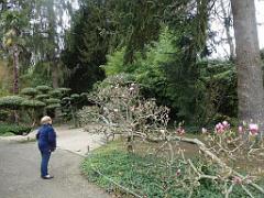 149 PARC ORIENTAL DE MAULEVIER MAINE ET LOIRE 2016 N1_000006